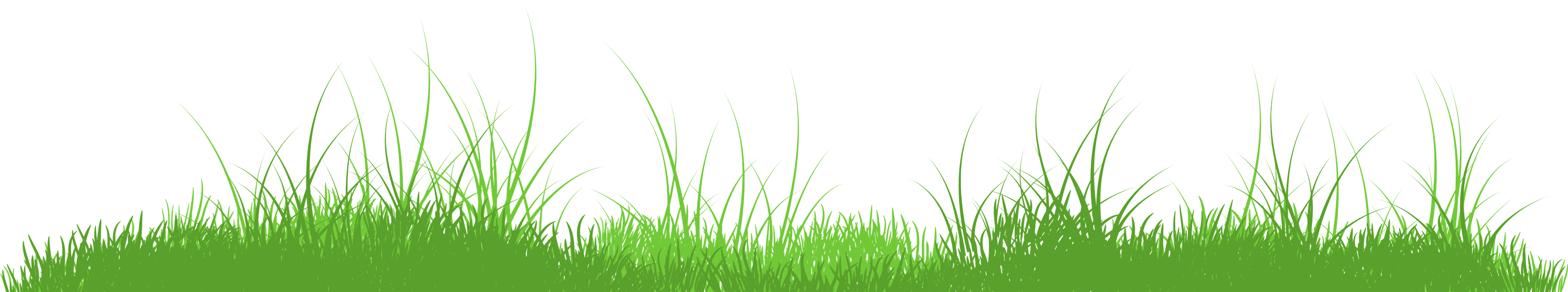 Grass border